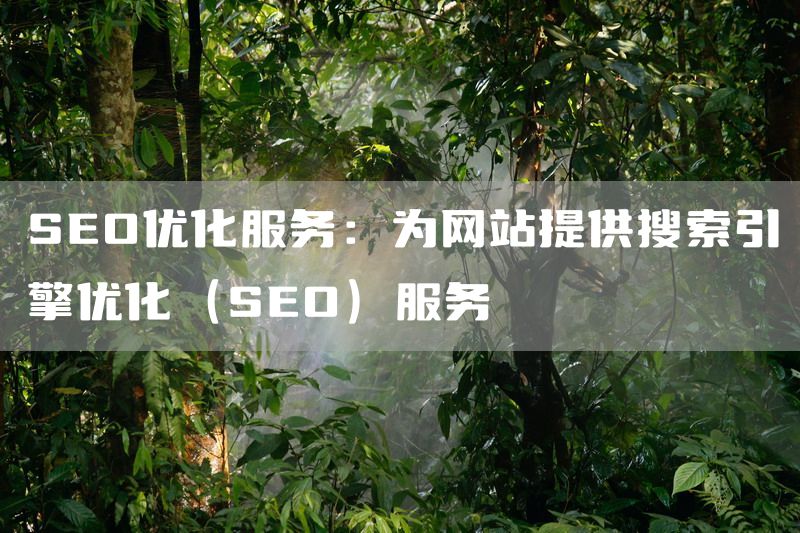 SEO优化服务：为网站提供搜索引擎优化（SEO）服务