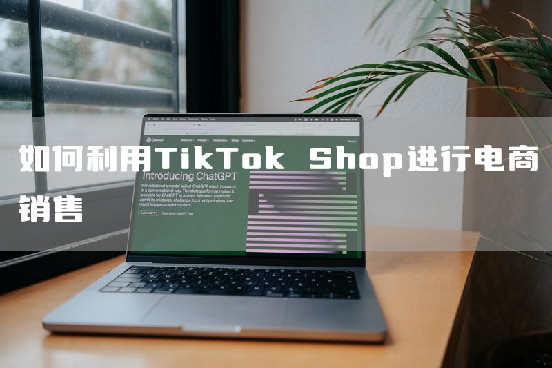 如何利用TikTok Shop进行电商销售