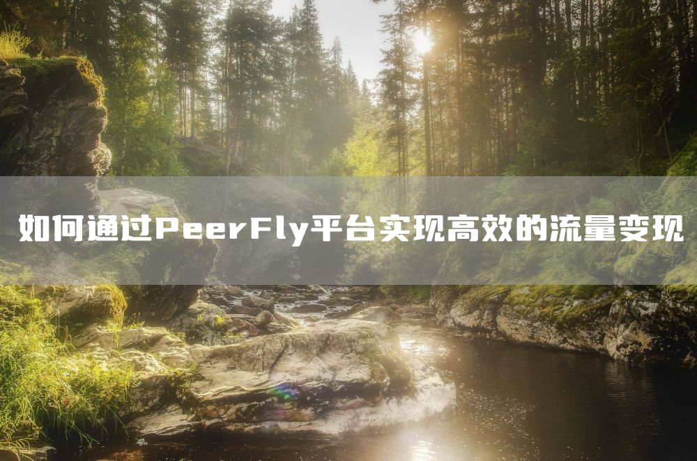 如何通过PeerFly平台实现高效的流量变现