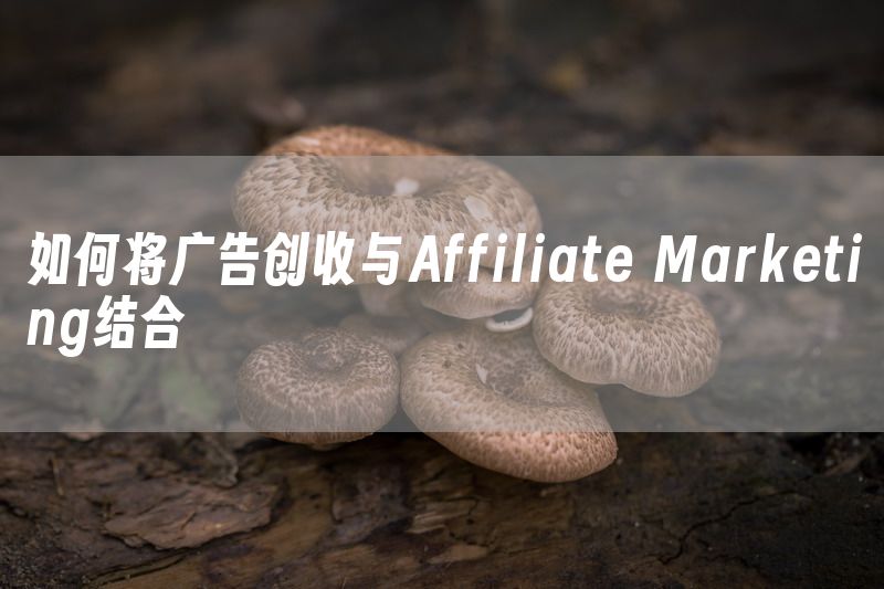 如何将广告创收与Affiliate Marketing结合