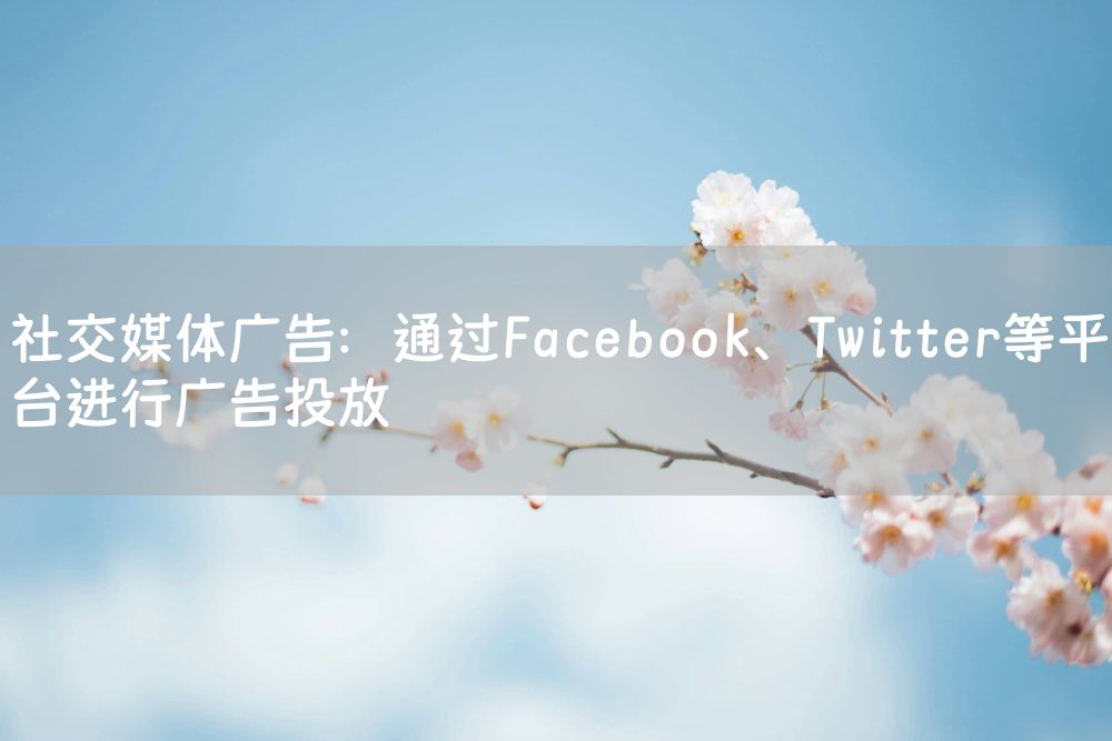 社交媒体广告：通过Facebook、Twitter等平台进行广告投放