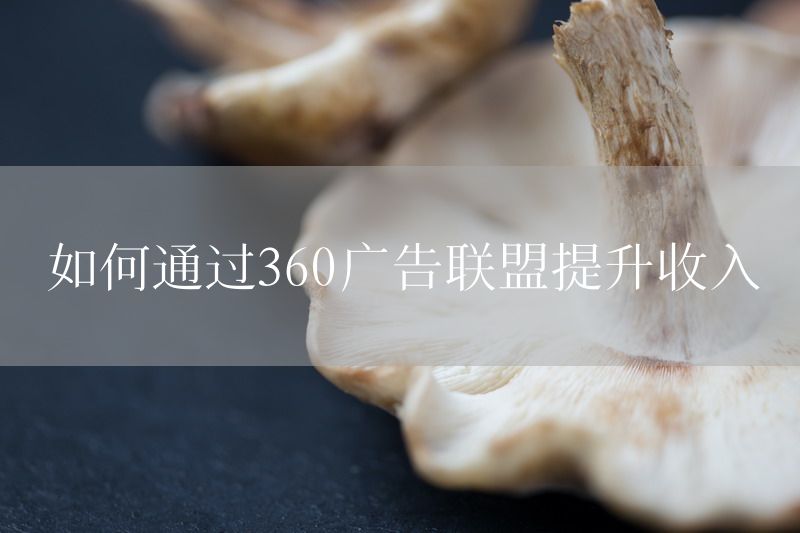 如何通过360广告联盟提升收入