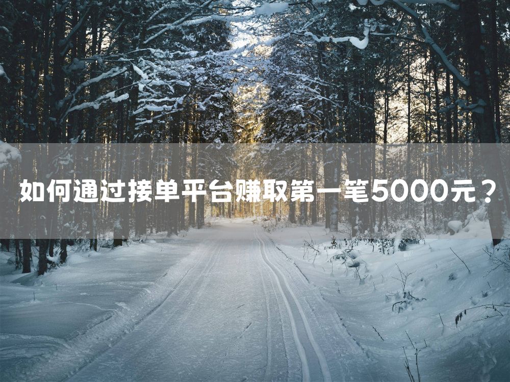 如何通过接单平台赚取第一笔5000元？