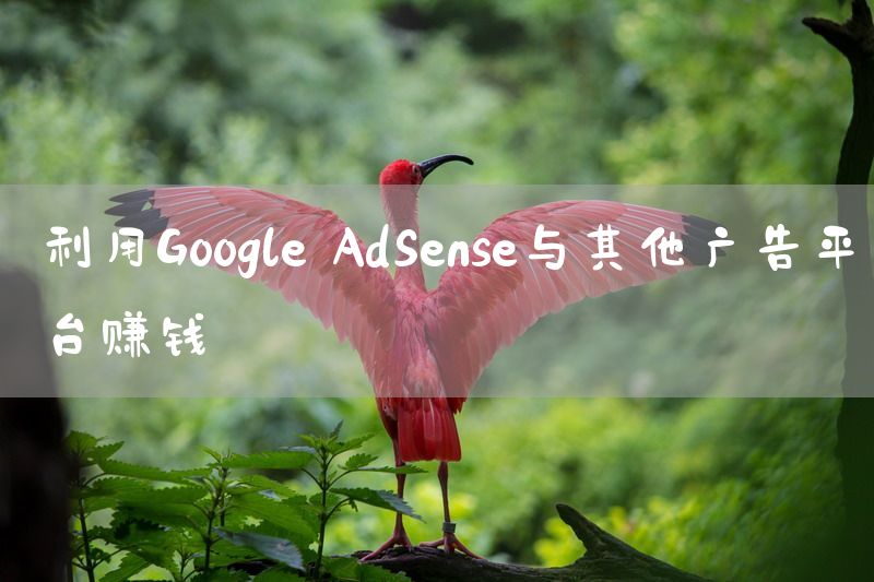 利用Google AdSense与其他广告平台赚钱